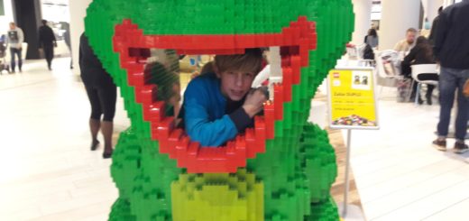 Lego6